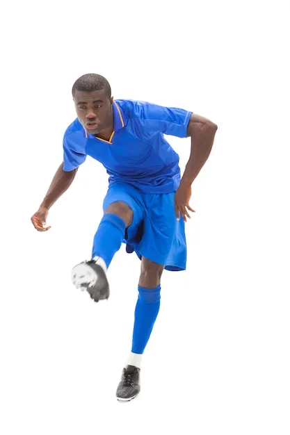 开云体育 APP 界面展示